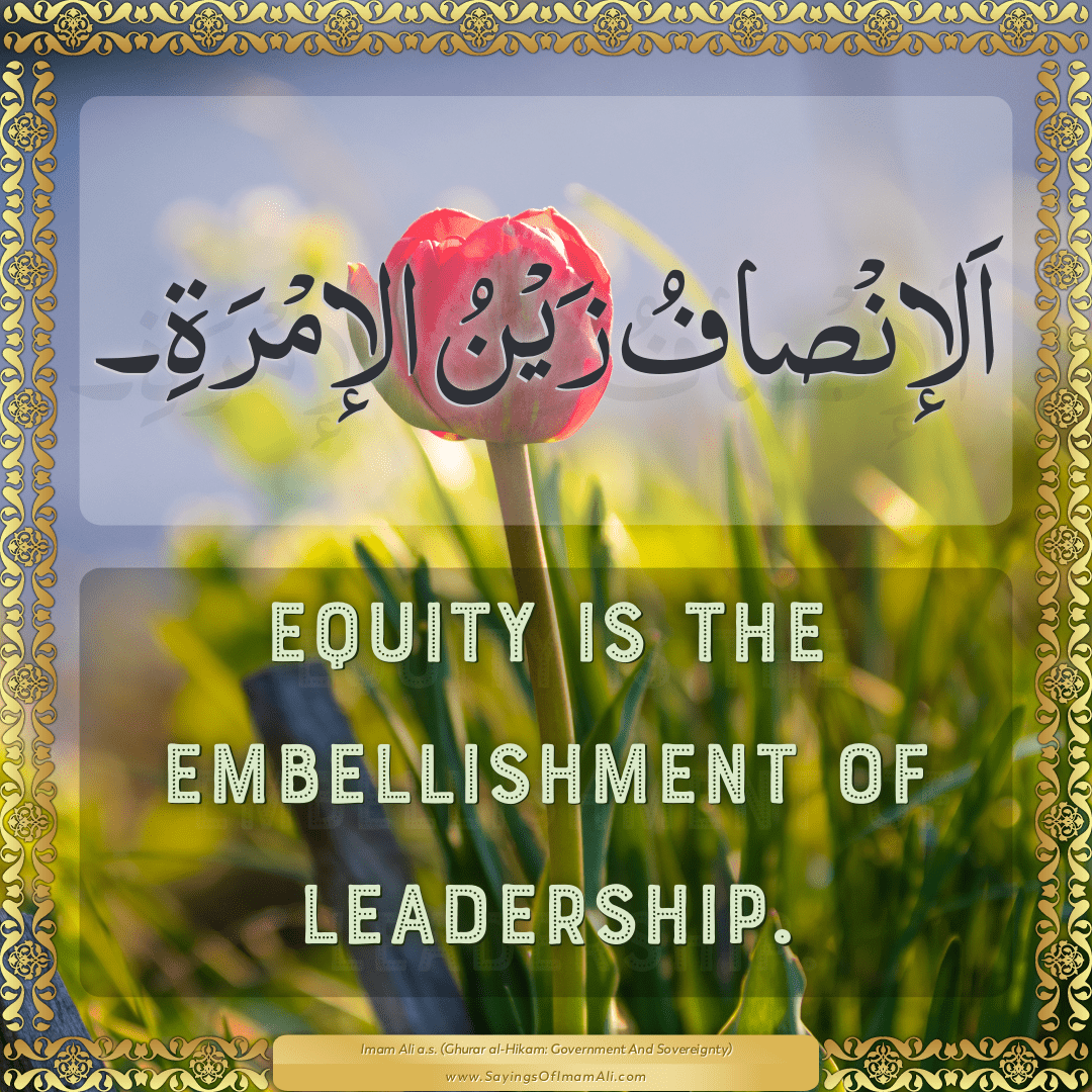 Equity is the embellishment of leadership.